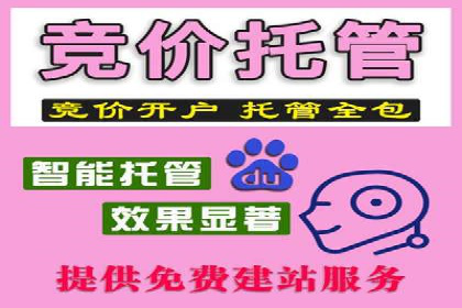 某品牌通过SEM优化公司实现品牌曝光飞跃